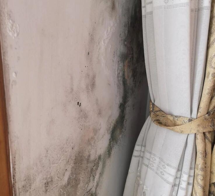 Ǽb≦Љڰl(f)ùô